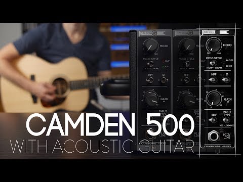Cranborne Audio Camden 500 Series Microphone Preamp 2020 - Present - Black image 4