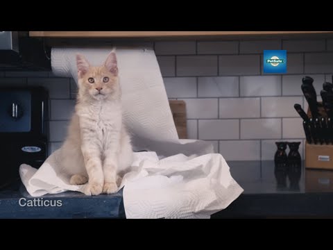 Catspiracy 2: Digging Deeper into the PetSafe ScoopFree Poop Harvesting Machine