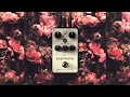 Evermore Studio Reverb | UAFX Pedals