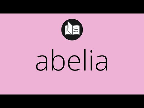 What ABELIA means • Meaning of ABELIA • abelia MEANING • abelia DEFINITION