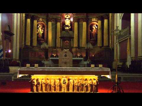 Evangelio  del  dia  29  de  Julio  de  2013