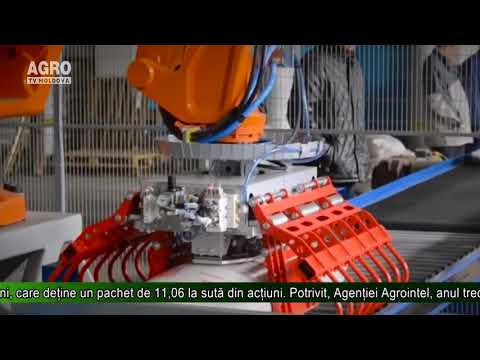 O fabrică de zahăr românească pe cale de lichidare