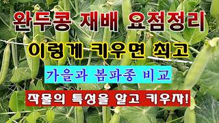 [텃밭농부 2,166]  완두콩 이렇게 키우면 성공한다. 재배의 요점정리! #완두콩재배