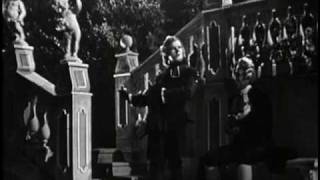 Luigi Alva - In quegli anni in cui val poco "Le nozze di Figaro"