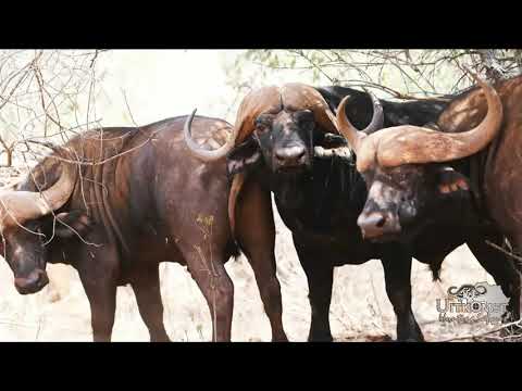 Your Journey Starts Here