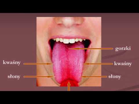 Kings of mead odc. 31 - jak pić miód pitny...?