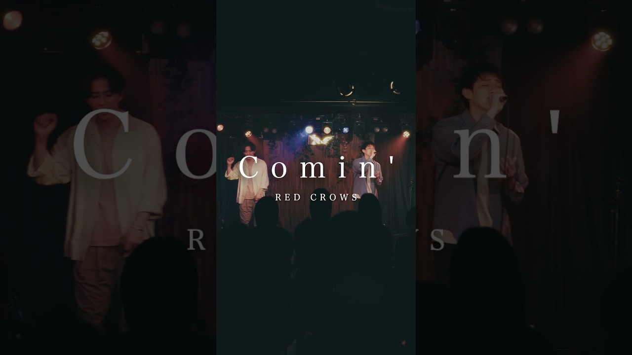 RED CROWS - Comin' #レックロ #オリジナル曲 #作詞作曲 #春歌 #田烏大嗣 #鳥飼優太