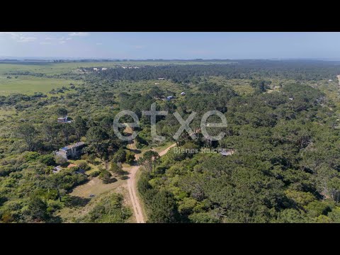 Terrenos en el Monte San Antonio Rocha