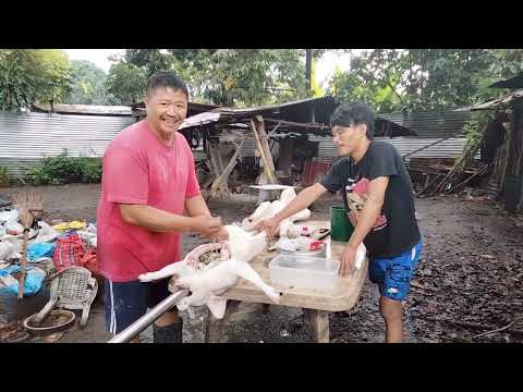 Lechon business/ Tatlong Lechon order!! inabot ng malakas na ulan/Vlog 13