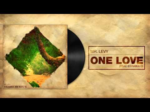 Mr Levy - One Love feat Straika D