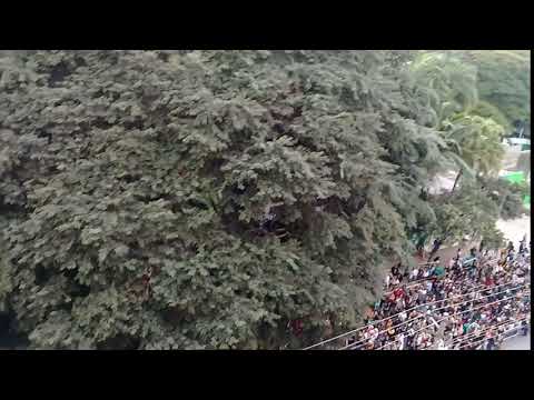 BRAZILHOPE #BTSINBRASIL #BTS #JHOPE