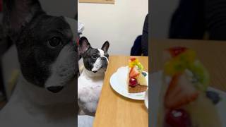 ホワイトデーは匂いだけ