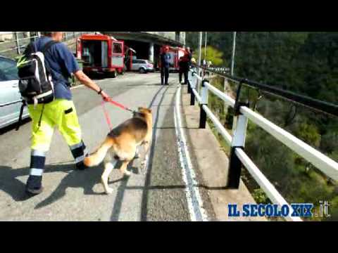 Ricerca Uomo Scomparso Lorsica