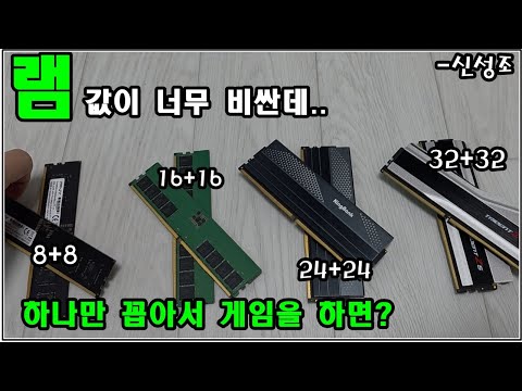 '램' 값이 미쳤는데 .. 하나만 꼽아서 게임하면 안될까?