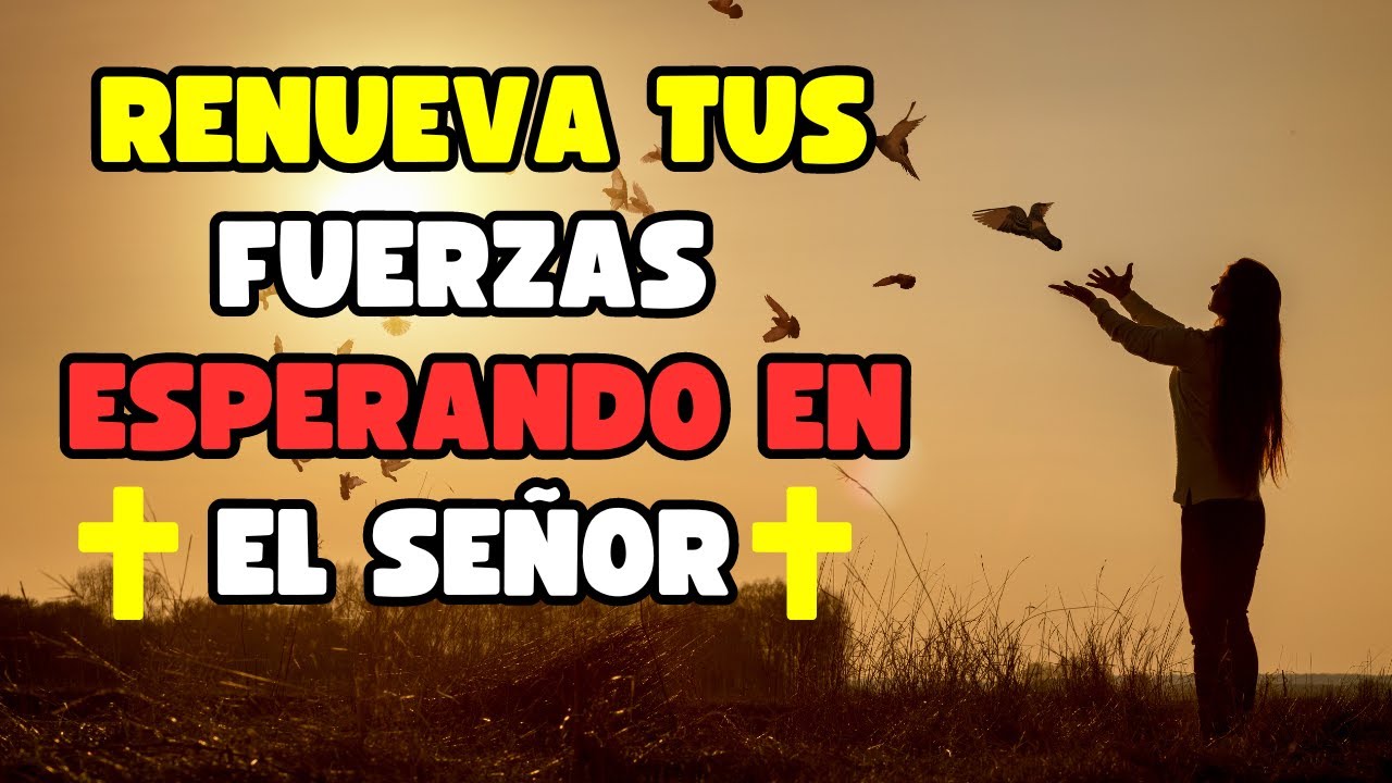 MOMENTO DE ORACIÓN – 1 DE OCTUBRE DE 2024 – ISAÍAS 40:31 | RENUEVA TUS FUERZAS ESPERANDO EN EL SEÑOR