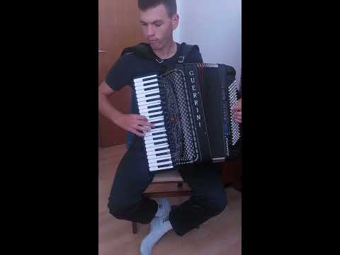 Škola harmonike Kovačević - Nemanja Laloš (2. godina učenja)