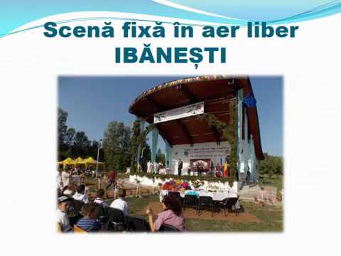 ROMICĂ MAGOPEȚ   Primar comuna Ibănești