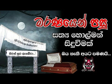 මරණයෙන් පසු👻 Holman katha| Ghost story| අදිසි හස්තය Horror story sinhala