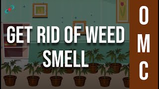 How to Get Rid of Weed Smell When Growing Indoors?