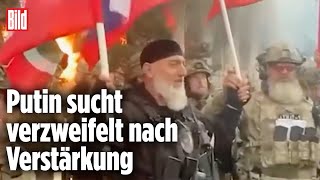 Ukrainische Truppen stoßen bis zur russischen Grenze vor | Charkiw