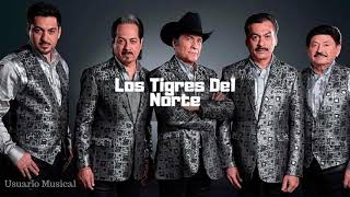 Los Tigres Del Norte - Camelia La Texana