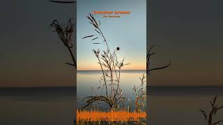 Miniature YouTube : Summer Dream | Ambiance Méditative & Apaisante par Soochrys