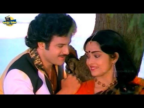 BALAKRISHNA RAJANI RALLALLO ISAKALLO VIDEO SONG | SEETHARAMA KALYANAM MOVIE