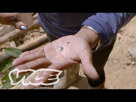 download lagu mp3 mp4 Suriname Gold, download lagu Suriname Gold gratis, unduh video klip Suriname Gold