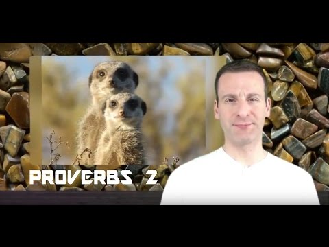 Proverbs Chapter 2 Summary and What God Wants From Us