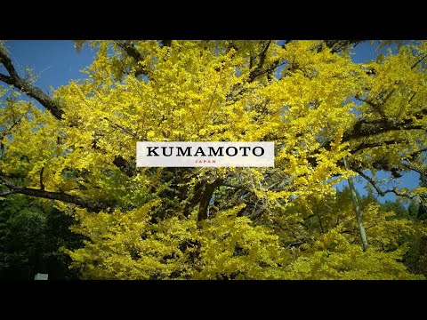 [Autumn] Kumamoto, Japan 8K - 熊本県