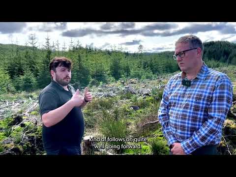 How to Manage a UK Forest Sustainably: The Benefits and Challenges
