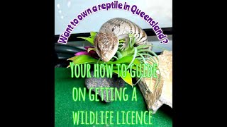 How to Apply for a QLD wildlife Licence for Reptiles and birds (Get link below on your computer).