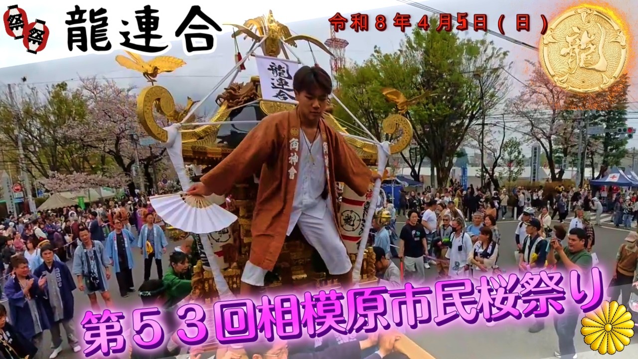 令和８年　相模原市民桜まつり 神輿パレード ★龍連合、龍の魂解放｜ドッコイ神輿が相模原を震わせた★ド迫力 ＃祭り#甚句＃日本祭典 ＃ドッコイ担ぎ　video10 。