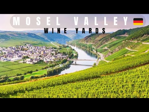 Mosel Valley | Largest steep slope wine growing region in the world | #wine #germany