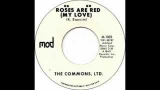 The Commons  Ltd. - Roses Are Red (My Love)