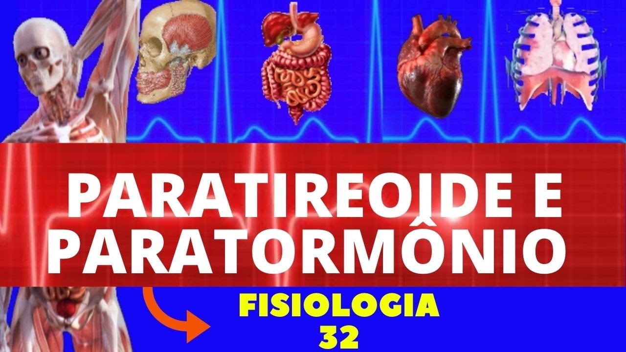 PARATIREOIDE (FISIOLOGIA DO PARATORMÔNIO E CALCITONINA) METABOLISMO DO CÁLCIO - FISIOLOGIA ENDÓCRINA