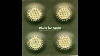 Dub Trees - Magnetica