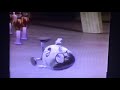 Barney And The Backyard Gang The Backyard Show Humpty Dumpty