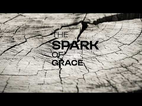 BALBOA BIANCO | 20X120CM | ESSENCE TILES