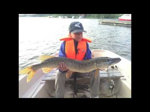 Kalakingi - Nuorimies nappasi heittoperholla oman haukiennätyksensä - Spintube - Eumer