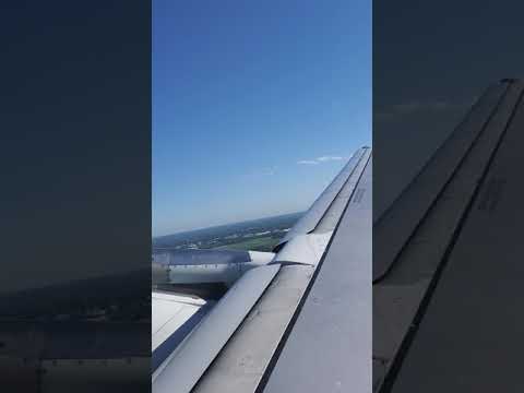 Flight 1565