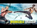 Hong Kong Dragon | Film HD | Action