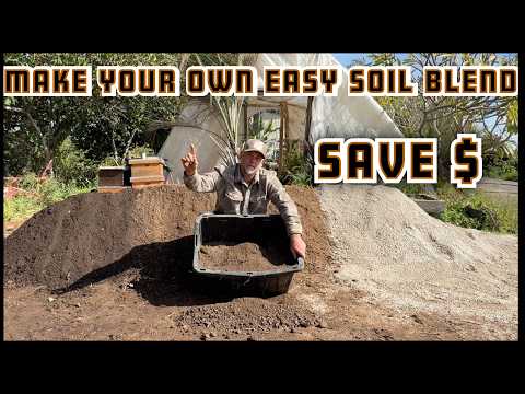 DIY Seed Starting Mix: Save Money, Grow Stronger Plants