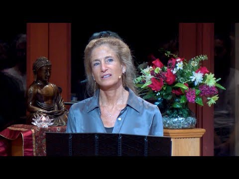 Tara Talks: Who We Are, Beyond the Changing Forms