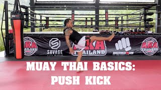 Muay Thai Basics - Push Kick