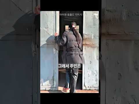 주인이 특별한 선물을 준비했다 🐱🎁
