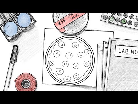 Changing the Game in Stem Cell Engineering | The Symbiotic Podcast Live