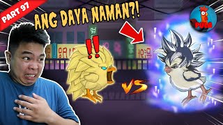 Download lagu Tinalo Manok ko ng Malalakas na Player Online! - Manok na Pula mp3