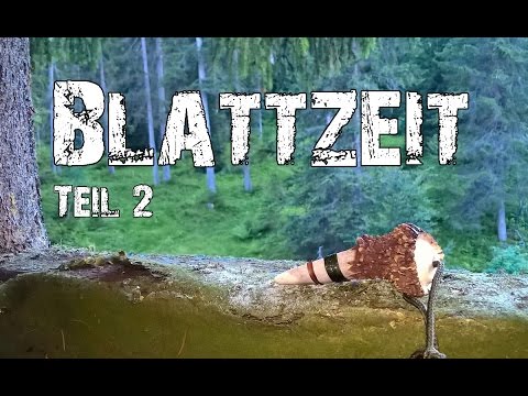 Rehbrunft - Blattzeit Teil 2