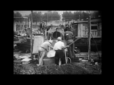 Il mercato dei fiori di Pescia (1954)